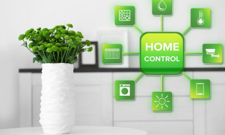 Smart-Home-Grafik und Tischpflanze
