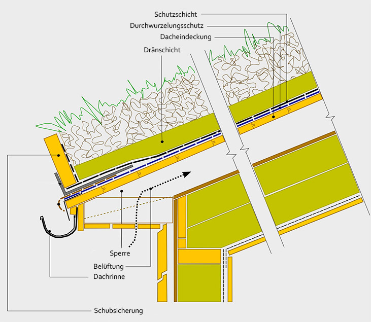 Schema einer Dachbegrünung