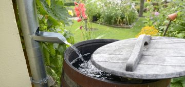 Regenwasser läuft in eine Regentonne