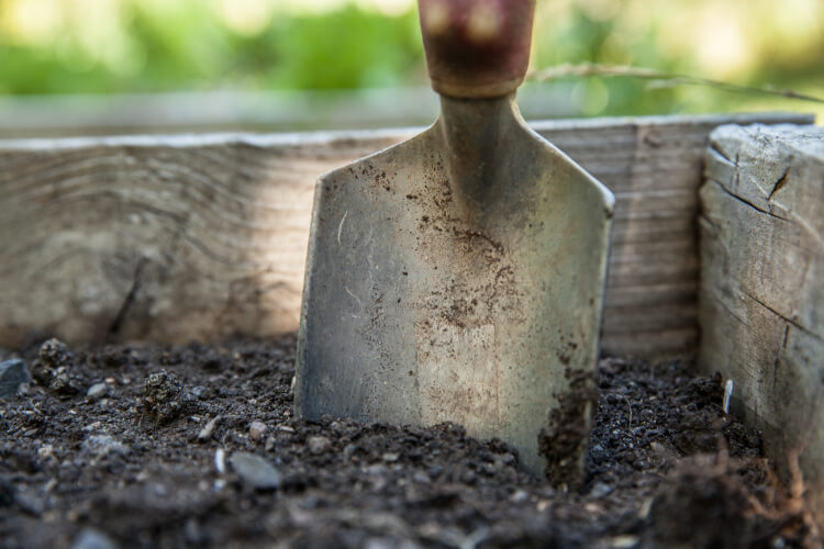 Gartenplanung: Beete anlegen